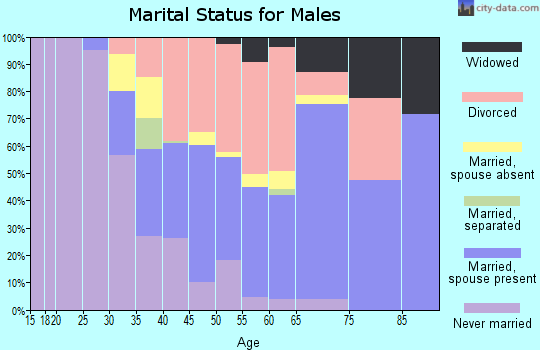 Zip code 85603 marital status for males