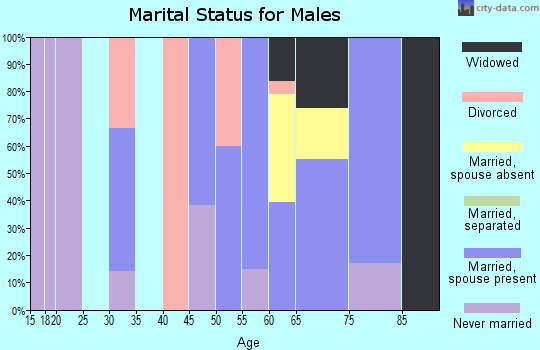 Zip code 85605 marital status for males