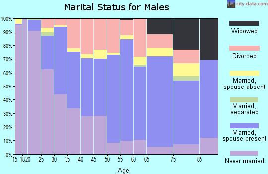 Zip code 85607 marital status for males