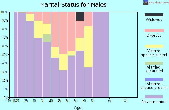 Zip code 85608 marital status for males