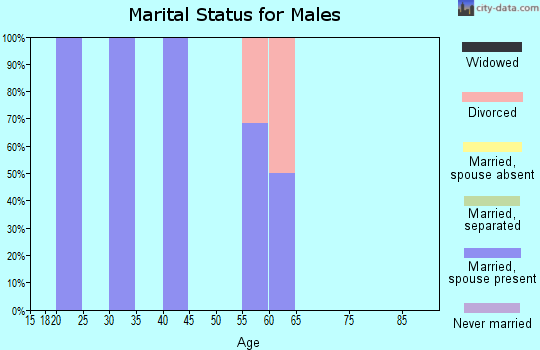 Zip code 85609 marital status for males
