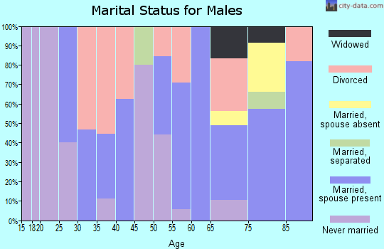 Zip code 85610 marital status for males