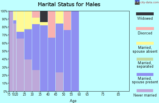 Zip code 85613 marital status for males