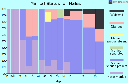 Zip code 85615 marital status for males