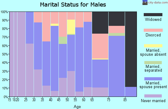 Zip code 85616 marital status for males