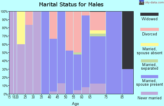 Zip code 85617 marital status for males