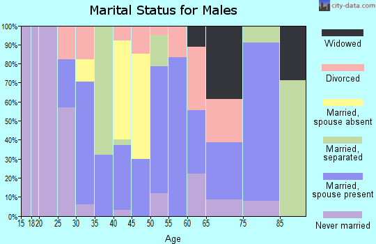 Zip code 85618 marital status for males