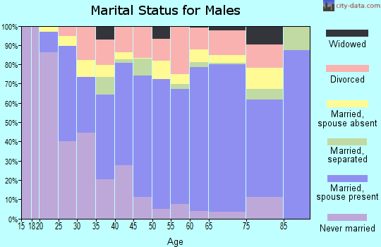 Zip code 85621 marital status for males