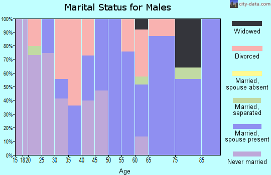 Zip code 85623 marital status for males