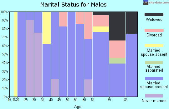 Zip code 85624 marital status for males