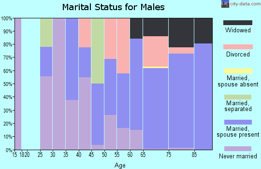 Zip code 85625 marital status for males