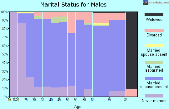Zip code 85629 marital status for males