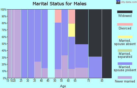 Zip code 85630 marital status for males