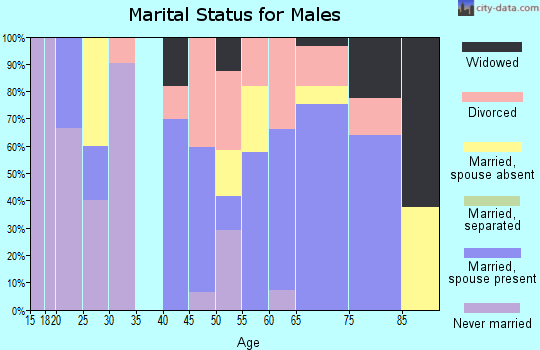 Zip code 85632 marital status for males