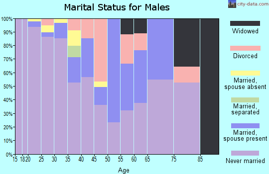 Zip code 85634 marital status for males