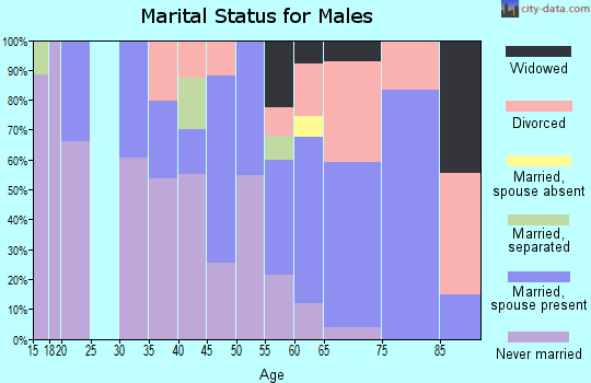 Zip code 85638 marital status for males