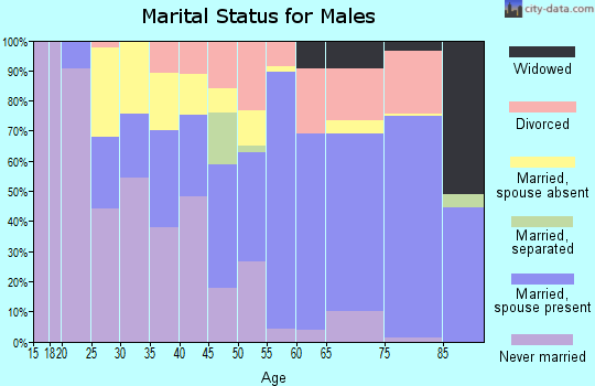 Zip code 85643 marital status for males