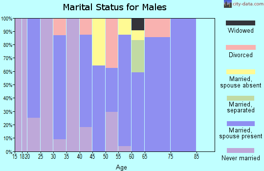 Zip code 85645 marital status for males