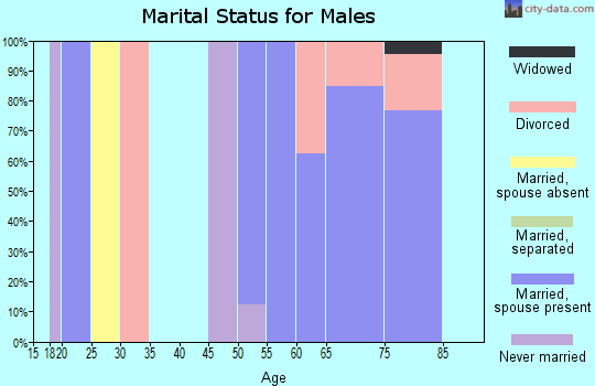 Zip code 85646 marital status for males