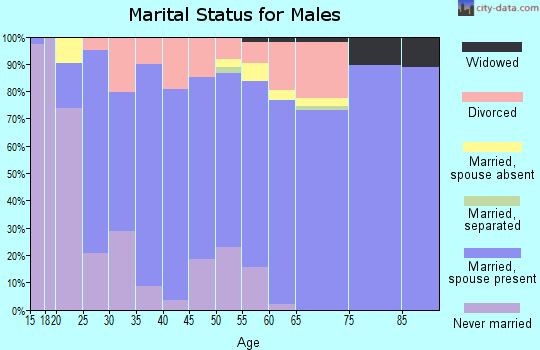Zip code 85650 marital status for males