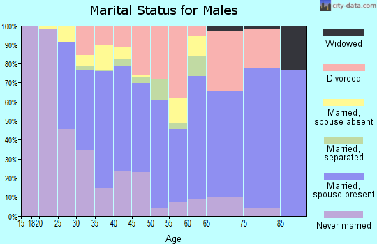 Zip code 85653 marital status for males