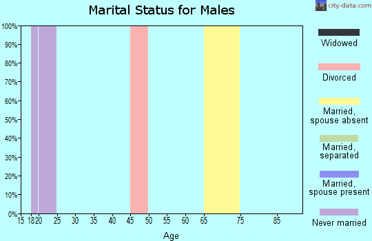 Zip code 85654 marital status for males