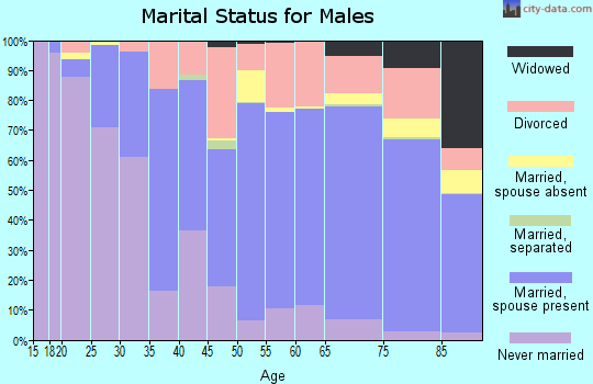 Zip code 85704 marital status for males