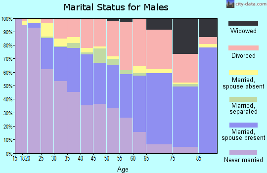 Zip code 85705 marital status for males
