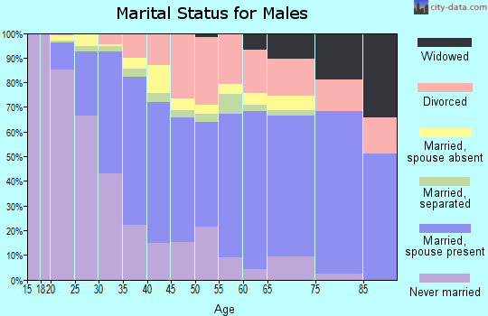 Zip code 85706 marital status for males
