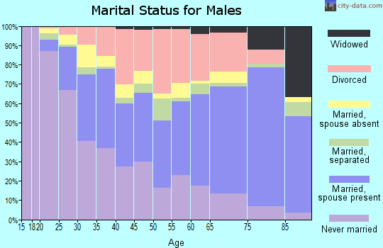 Zip code 85713 marital status for males