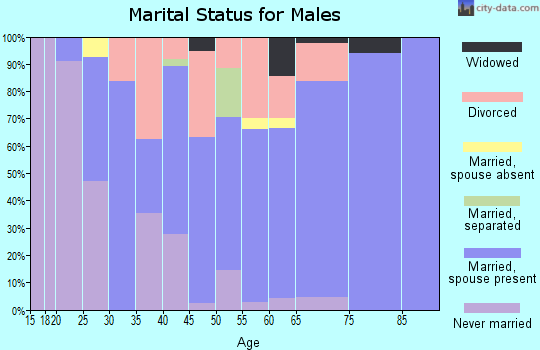 Zip code 85735 marital status for males