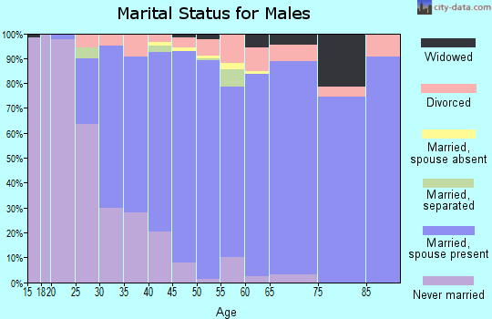 Zip code 85737 marital status for males