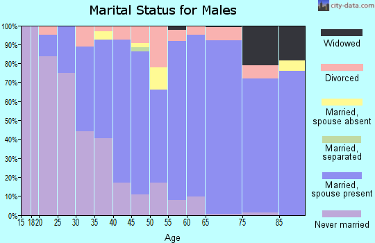 Zip code 85739 marital status for males