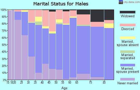 Zip code 85741 marital status for males
