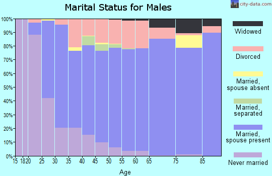 Zip code 85742 marital status for males
