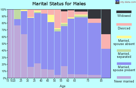 Zip code 85743 marital status for males