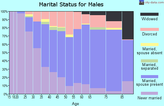 Zip code 85745 marital status for males