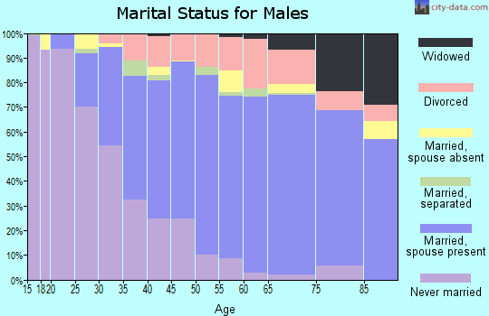 Zip code 85746 marital status for males