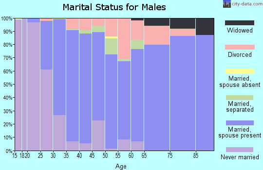 Zip code 85747 marital status for males