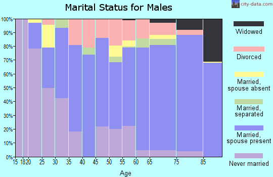Zip code 85901 marital status for males