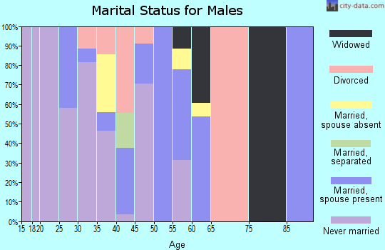 Zip code 85911 marital status for males