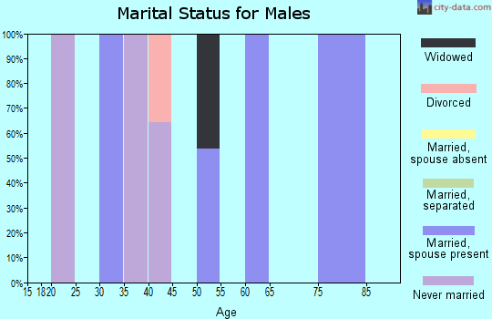 Zip code 85926 marital status for males