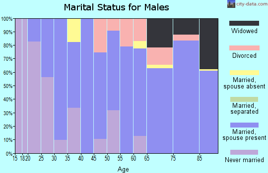 Zip code 85929 marital status for males