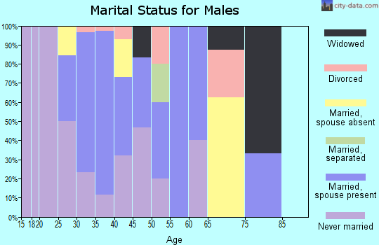 Zip code 85930 marital status for males