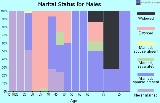 Zip code 85933 marital status for males