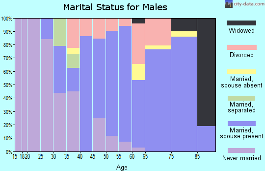 Zip code 85935 marital status for males