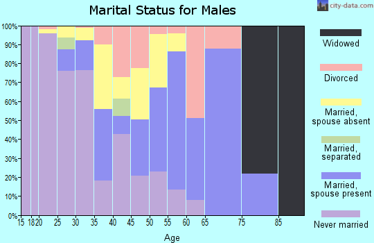 Zip code 85936 marital status for males