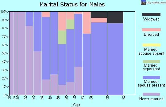 Zip code 85937 marital status for males