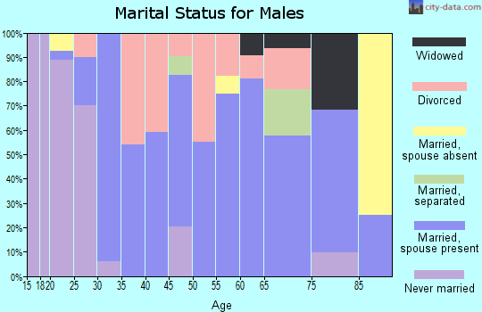 Zip code 85938 marital status for males