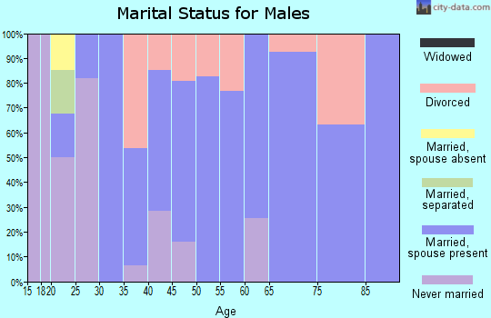Zip code 85939 marital status for males